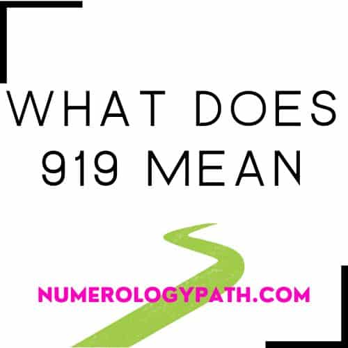 What Does 919 Mean