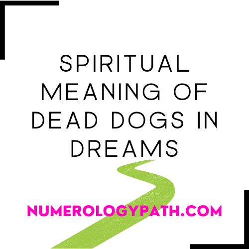 Spiritual Meaning of Dead Dogs in Dreams