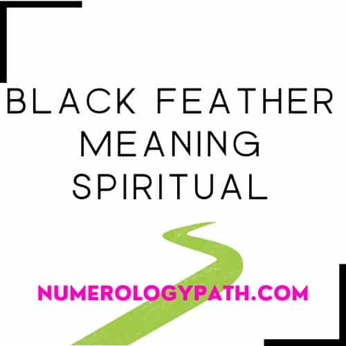 Black Feather Meaning Spiritual