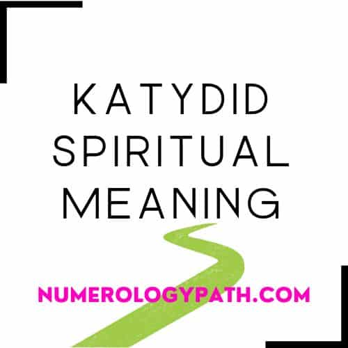 Katydid Spiritual Meaning
