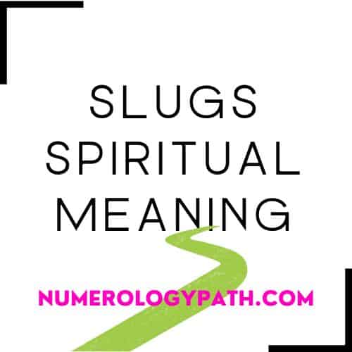Slugs Spiritual Meaning