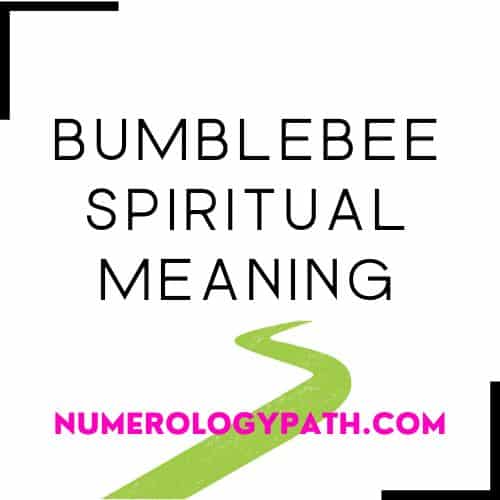 Bumblebee Spiritual Meaning