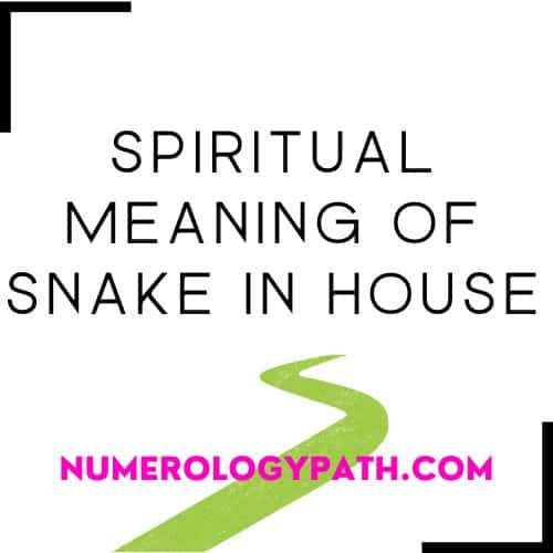 Spiritual Meaning of Snake in House